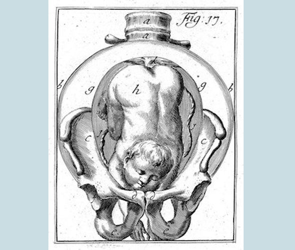 Evolution of human childbirth