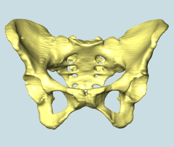 Pelvic shape and labour diversity
